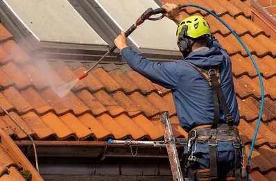 Démoussage et hydrofuge de toiture à Roaillan